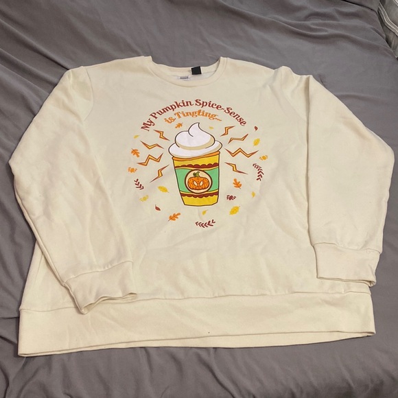 Pumpkin spice crewneck - Picture 1 of 5